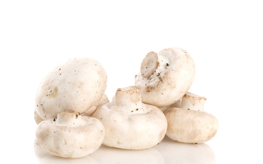 How To Say Mushroom In French What Is The Meaning Of Champignon Ouino