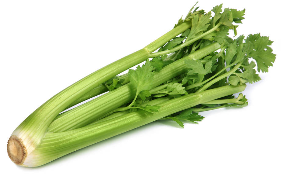 How to Say “Celery” in French? What is the meaning of “Céleri”?