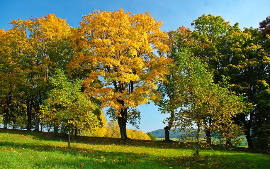 What Is September In French