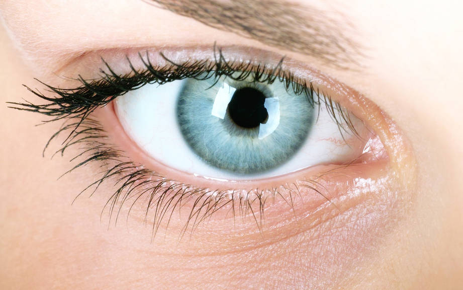 How to Say “Blue eyes” in French? What is the meaning of “Yeux