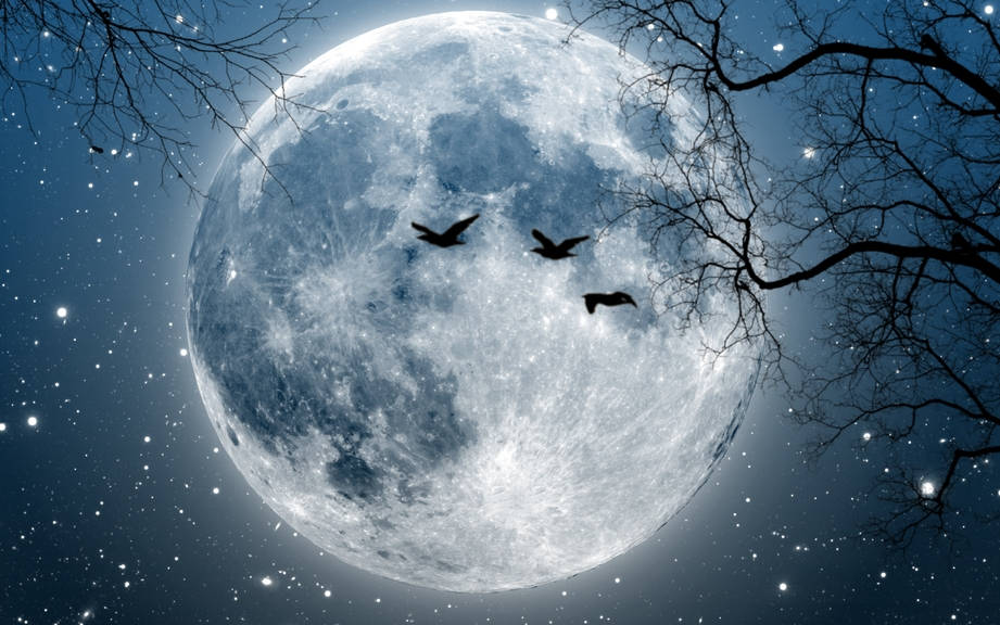 How to Say “Moon” in French? What is the meaning of “Lune”?