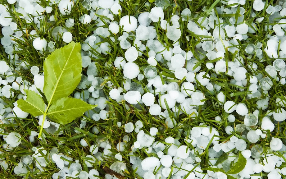 How to Say “Hail” in French? What is the meaning of “Grêle”?