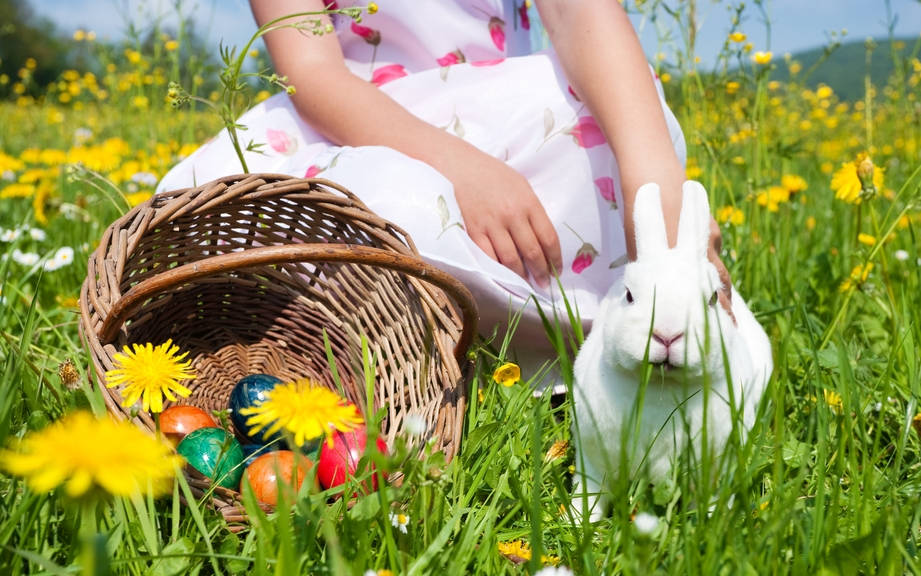 How to Say “Easter” in French? What is the meaning of “Pâques”?