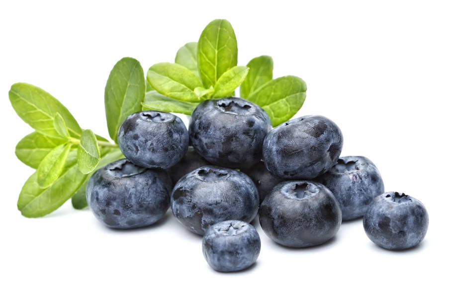 How to Say “Blueberry” in German? What is the meaning of “Blaubeere”?