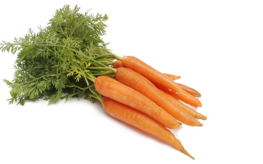 How to Say “Carrot” in German? What is the meaning of “Karotte”?