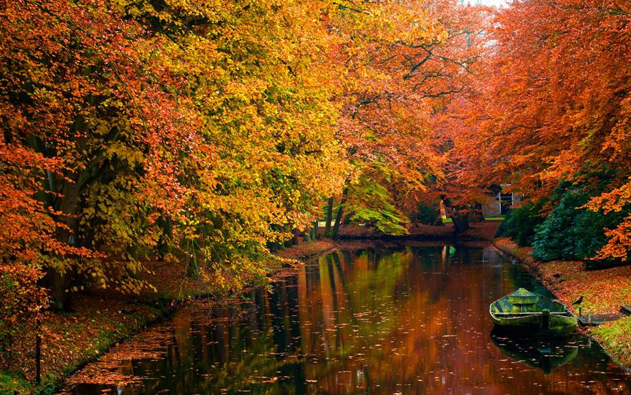 How to Say “October” in German? What is the meaning of “Oktober”?