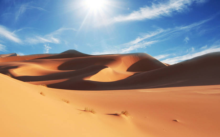 How to Say “Desert” in German? What is the meaning of “Wüste”?