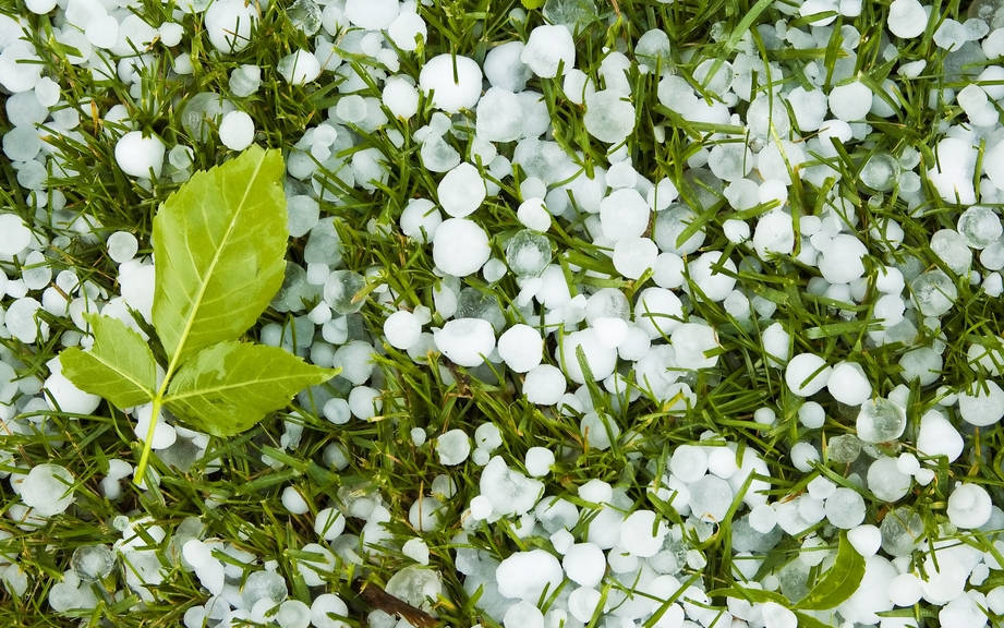 How to Say “Hail” in German? What is the meaning of “Hagel”?