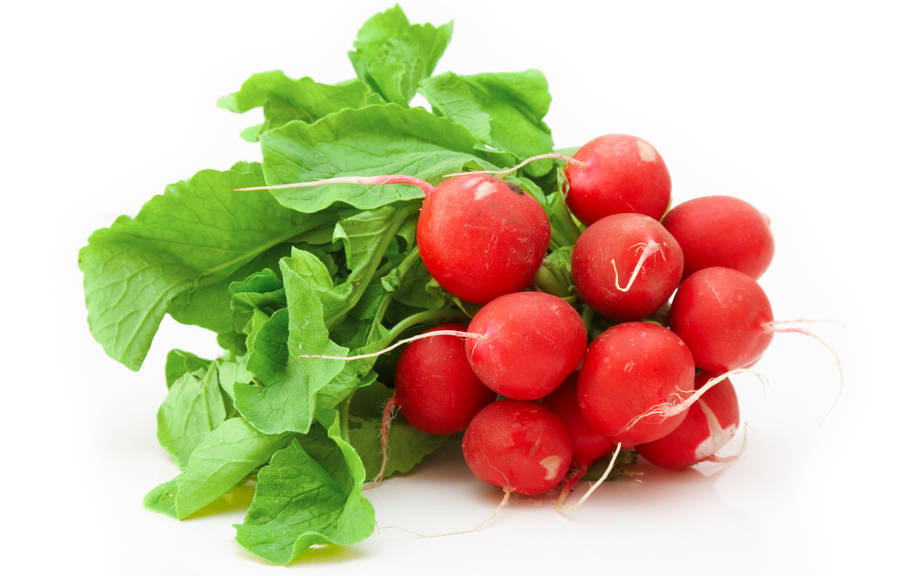 How to Say “Radish” in Italian? What is the meaning of “Ravanello”?