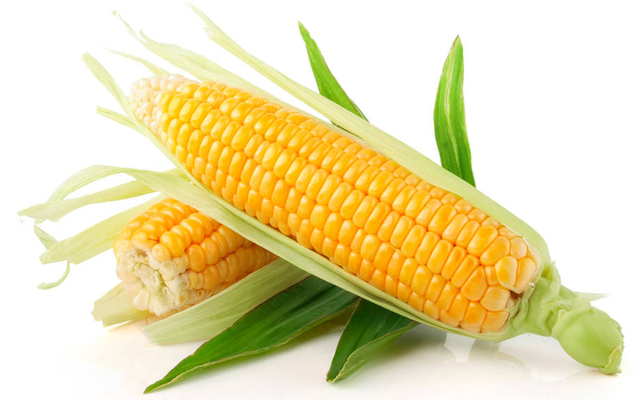 How to Say “Corn” in Italian? What is the meaning of “Mais”?