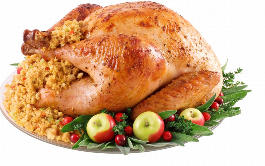 How to Say “Turkey” in Italian? What is the meaning of “Tacchino”?