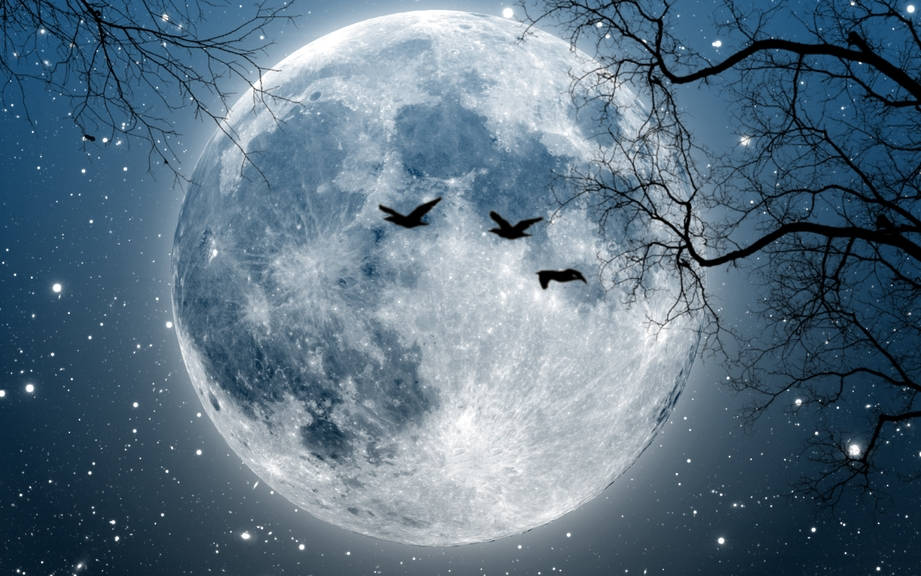 How to Say “Moon” in Italian? What is the meaning of “Luna”?