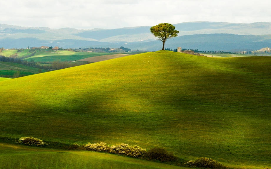 How to Say “Hill” in Italian? What is the meaning of “Collina”?