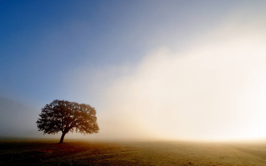 How to Say “Fog” in Italian? What is the meaning of “Nebbia”?