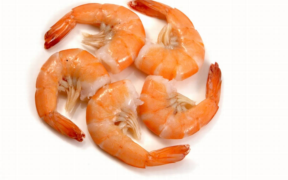 what is the spanish word for shrimp