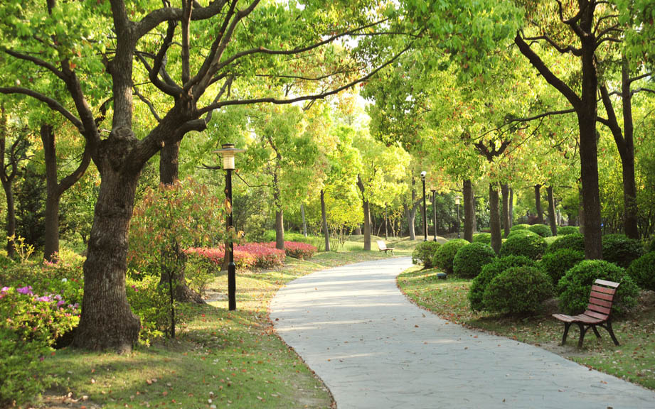 how-to-say-park-in-spanish-what-is-the-meaning-of-parque-ouino