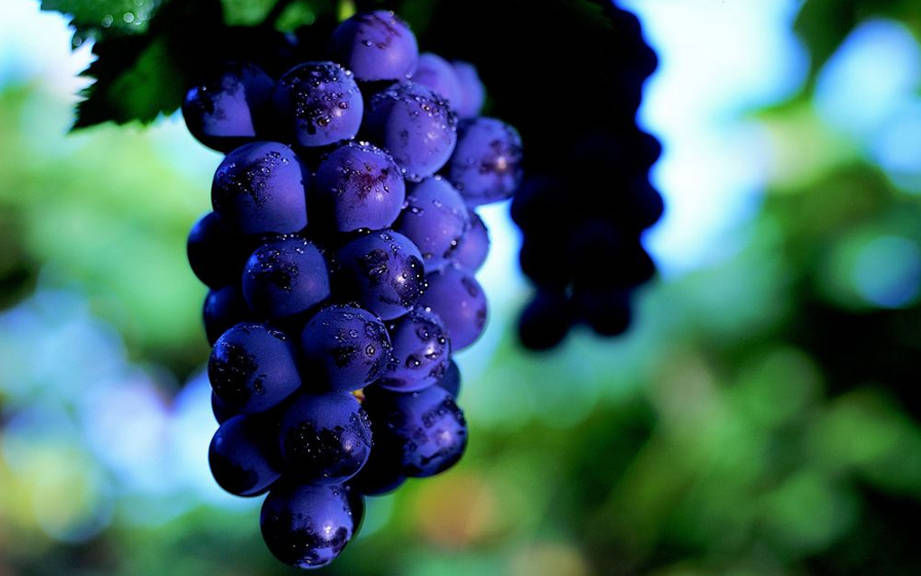 How To Say Grapes In Spanish What Is The Meaning Of Uvas OUINO